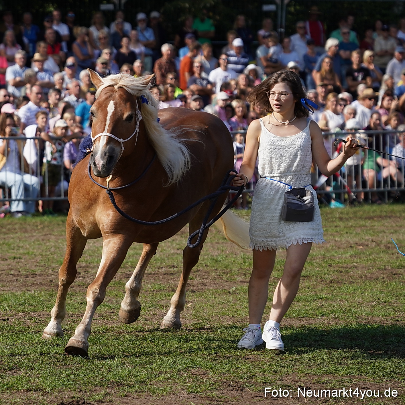 Pferde und Fohlenschau 2022 0148 